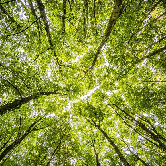 Meet your Posher, Z - Picture 1 of 1